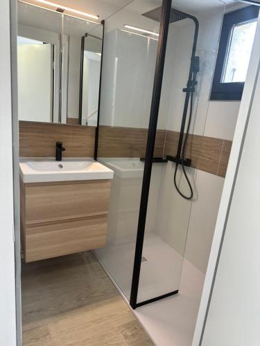 une salle de bain avec un lavabo et un miroir dans l'établissement Tamaris les jardins alizarines, à La Seyne-sur-Mer