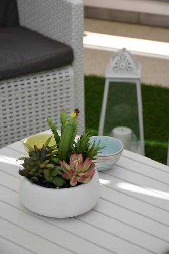Κήπος έξω από το Terrazza Sole e Stelle