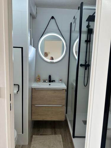une salle de bain avec un lavabo et un miroir dans l'établissement Appartement dans résidence privée avec piscine proche mer, à La Seyne-sur-Mer