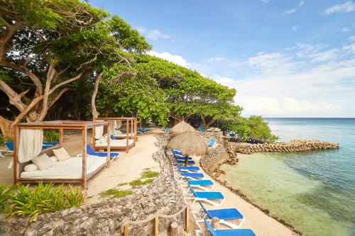 a beach with chairs and umbrellas and the ocean at Hotel San Pedro de Majagua in Isla Grande