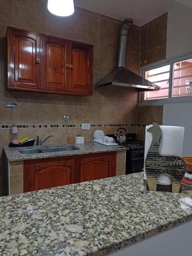 a kitchen with a counter top with a bird on the counter at Hospedaje Las Rosas in La Quiaca