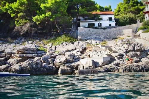 Apartments by the sea Prizba, Korcula - 24647