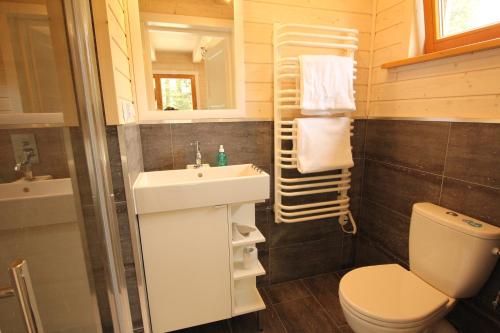 a small bathroom with a sink and a toilet at Górskie Domki - Szklarska Poręba in Szklarska Poręba