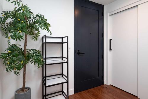 a black door and a plant next to a door at Back-Bay Upscale Central Condo Rooftop & Parking in Boston