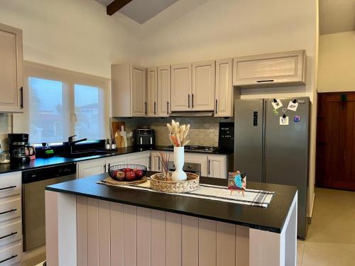 a kitchen with a refrigerator and a bowl of apples on a counter at La Casita 4BR Private Paradise with Pool in La Garita