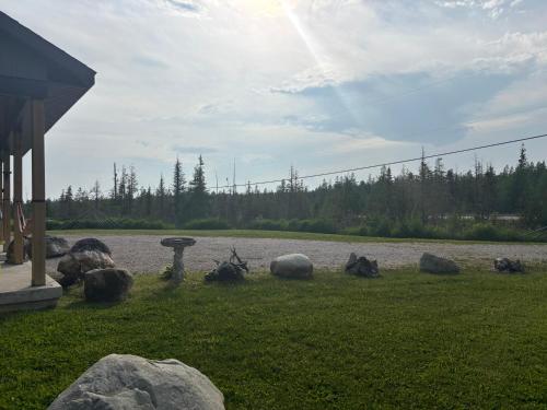Κήπος έξω από το Simply Serenity - steps from Lake Huron