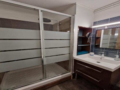 une salle de bain avec douche et lavabo dans l'établissement Apartment in Le Mans near 24 Hours Circuit, au Mans