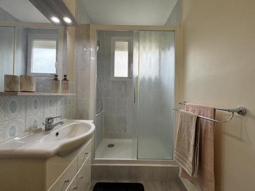 une salle de bain avec douche et lavabo dans l'établissement Apartment near Le Mans Circuit, au Mans
