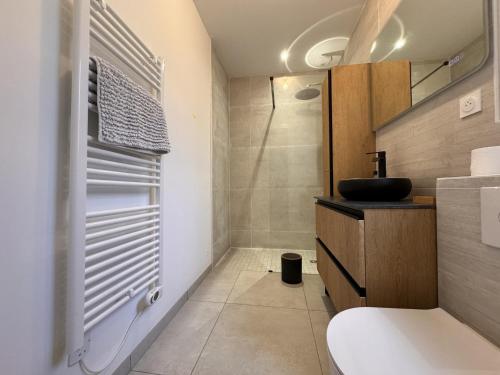 une salle de bain avec une douche, des toilettes et un lavabo dans l'établissement House in Montfort with Panoramic Terrace, à Montfort-le-Gesnois