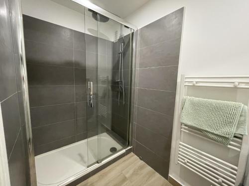 une douche avec une porte vitrée dans une salle de bain dans l'établissement Apartment in Le Mans near Train Station, au Mans