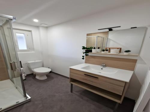 une salle de bain avec un lavabo, des toilettes et un miroir dans l'établissement Apartment in Le Mans near Train Station, au Mans