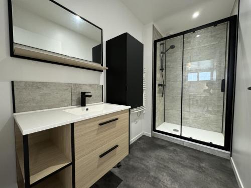 une salle de bain avec un lavabo et une douche dans l'établissement House in Le Mans with Private Garden, au Mans