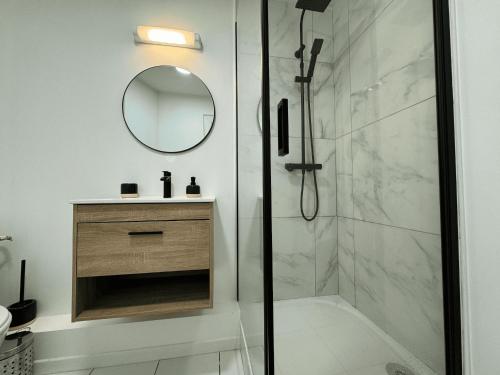 une salle de bain avec une douche, un lavabo et un miroir dans l'établissement Apartment in Le Mans near 24 Hours Circuit, au Mans