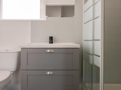 une salle de bain avec un lavabo et des toilettes dans l'établissement Apartment in Le Mans near City Center, au Mans