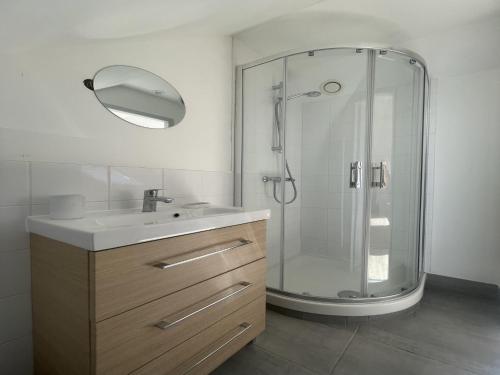 une salle de bain avec une douche avec un lavabo et un miroir dans l'établissement Studio in Le Mans near 24 Hours Circuit, au Mans