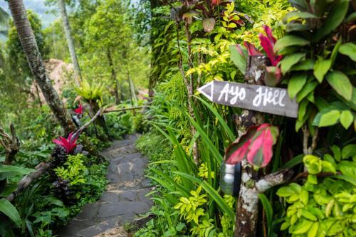 Taman di luar Ayo Hill Villa By Samhita Bali