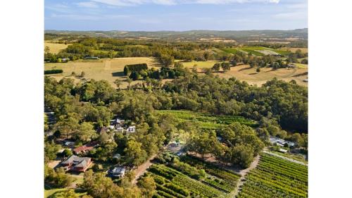 an aerial view of a vineyard with a house and trees at Orange 2 by Tiny Away in Woori Yallock