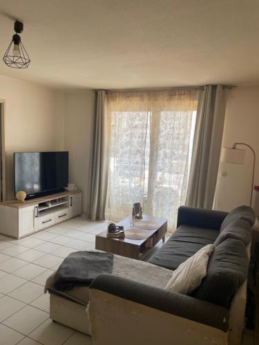 un salon avec un canapé et une télévision dans l'établissement Appartement lumineux 13006, à Marseille