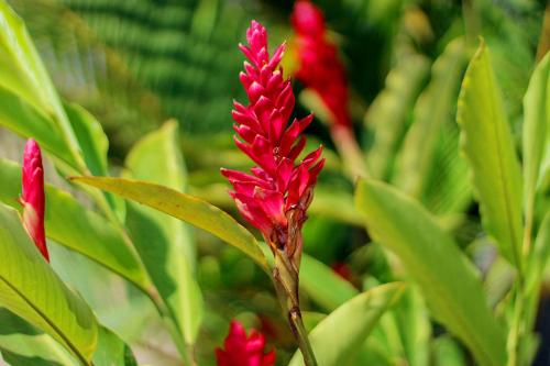 Galeriebild der Unterkunft Grafo in Kampala