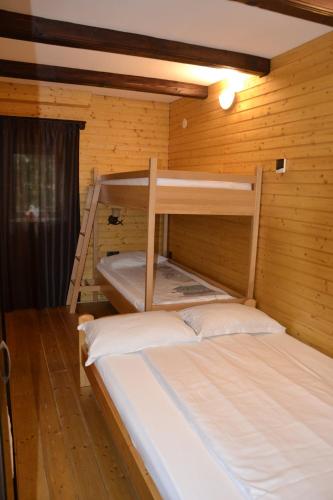 two bunk beds in a room with wooden walls at Casa "Cabana Varciorog Arieseni" in Arieşeni