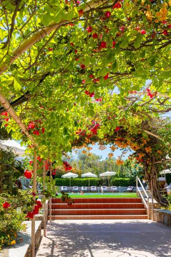 a tree with red flowers and stairs with umbrellas at Dias by Azul Collection in Adelianos Kampos