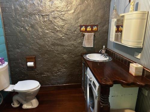 a bathroom with a toilet and a sink at South Terrace House - walk to everything ! in South Fremantle