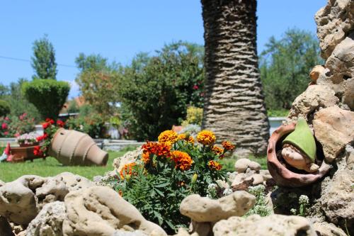 a garden with rocks and flowers in front of a tree at Panorama Studios & Apartments in Amoudi