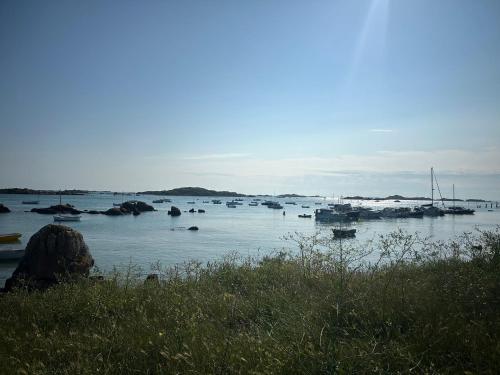 une grande étendue d'eau avec des bateaux. dans l'établissement Studio cœur de ville proche plage YVON-CÔTIER, à Granville