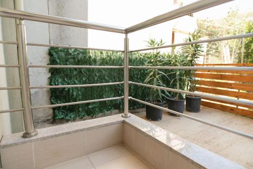Cotton Apartment