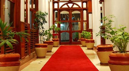 Fotografie z fotogalerie ubytování Natron Palace Hotel v destinaci Arusha