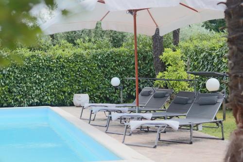 Πισίνα στο ή κοντά στο Villa Annamaria - swimming pool and peace in Castelforte