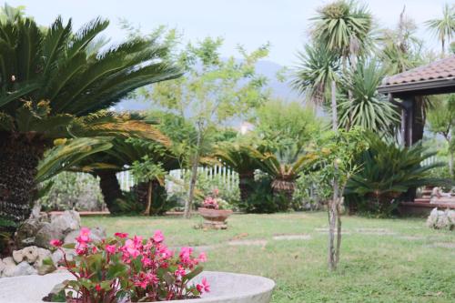 Κήπος έξω από το Villa Annamaria - swimming pool and peace in Castelforte