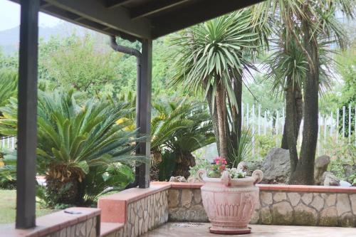 Κήπος έξω από το Villa Annamaria - swimming pool and peace in Castelforte