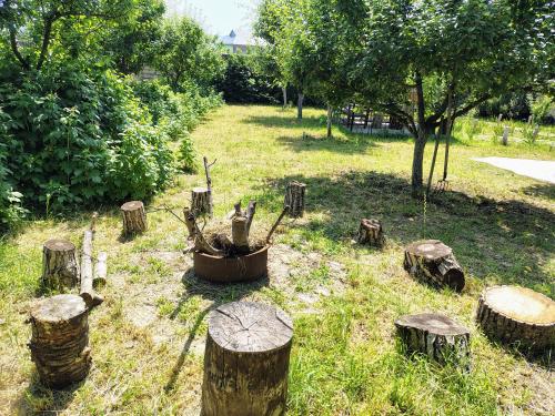 a bunch of logs in a field with trees at NarInn Guesthouse in İsmayıllı