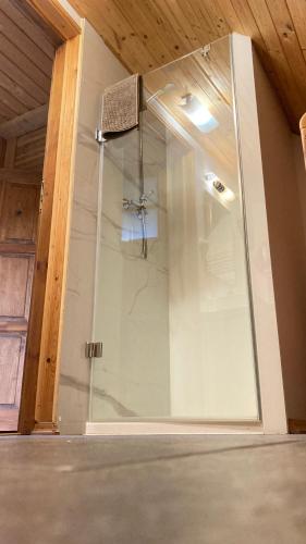 a shower in a room with a glass door at Litewska Chata in Sejny