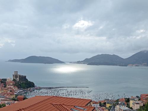 a view of a large body of water with boats at Orizzonte spezzino in La Spezia