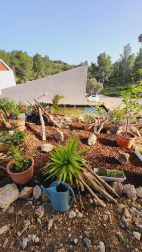 Photo de la galerie de l'établissement Maison dans la colline, à Sausset-les-Pins