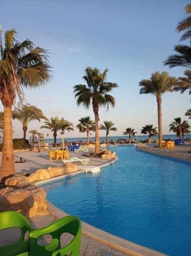 una piscina con palmeras en un resort en شاليه 3 غرف للعائلات فقط Lasirena Mini Egypt Resort Ain Sokhna Families only, en Ain Sokhna