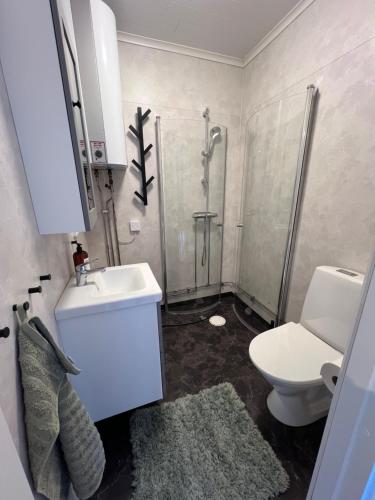 Koupelna v ubytování Nyrenoverad stuga på Mellersta Öland