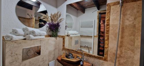 a bathroom with a large mirror and a shower at Beauty Wood House in The Forest in Vîlcăneşti