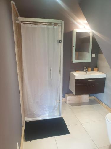 une salle de bain avec douche et lavabo dans l'établissement Gîte Le 1704, à Les Combes