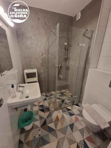 a bathroom with a shower and a sink and a toilet at Pod Wielką Zalesioną Górą in Wetlina