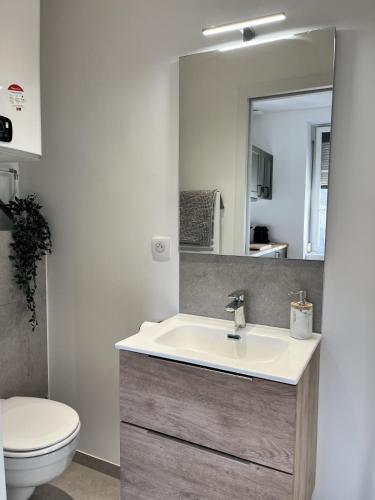 une salle de bain avec un lavabo, des toilettes et un miroir dans l'établissement La cigogne rêveuse, à Ensisheim