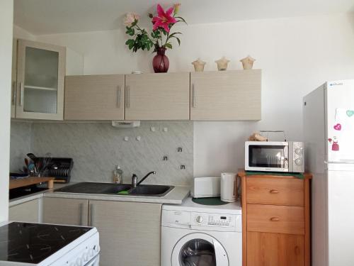 une cuisine avec un lave-linge et un micro-ondes dans l'établissement Studio calme et confortable, à Royat