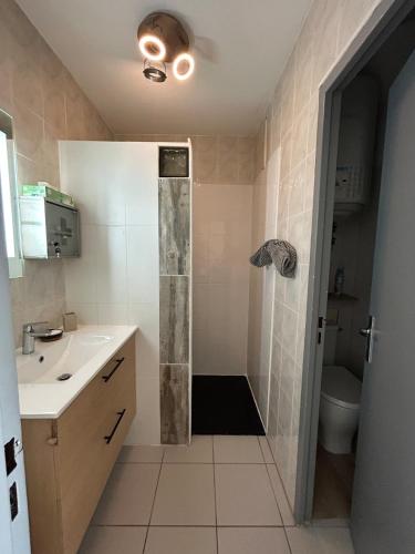 une salle de bain avec une douche, un lavabo et des toilettes dans l'établissement T1 Aix-en-Provence, à Aix-en-Provence