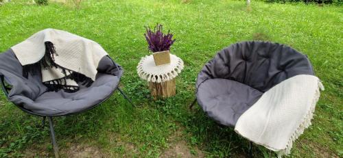 two chairs sitting in the grass next to a table at Mystically Wood House in The Forest in Cîrjari