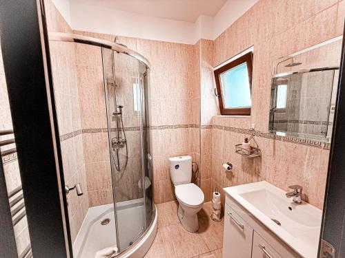 a bathroom with a shower and a toilet and a sink at EMSI Apartment in Sebeş