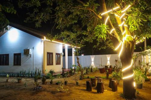 a house with lights on a tree at night at TRIO MANGO STAY ARUGAMBAy in Arugam Bay