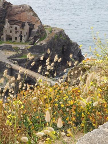 a field of flowers with a castle in the background at Ty laouen in Crozon