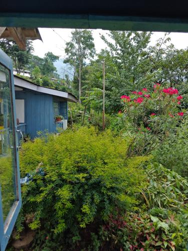 Κήπος έξω από το Kokomendo Farmstay